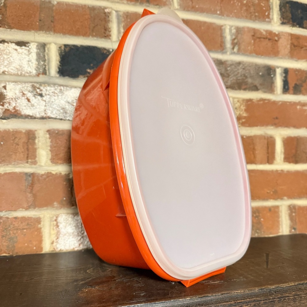 Vintage Tupperware Oval Roaster Meat Flavor Saver Keeper Tray Storage Container